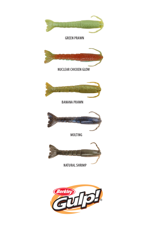 Soft Plastics Berkley Gulp 3" Shrimp Soft Plastic Fishing Lure 3 Soft Plastics Berkley Gulp 3" Shrimp Soft Plastic Fishing Lure