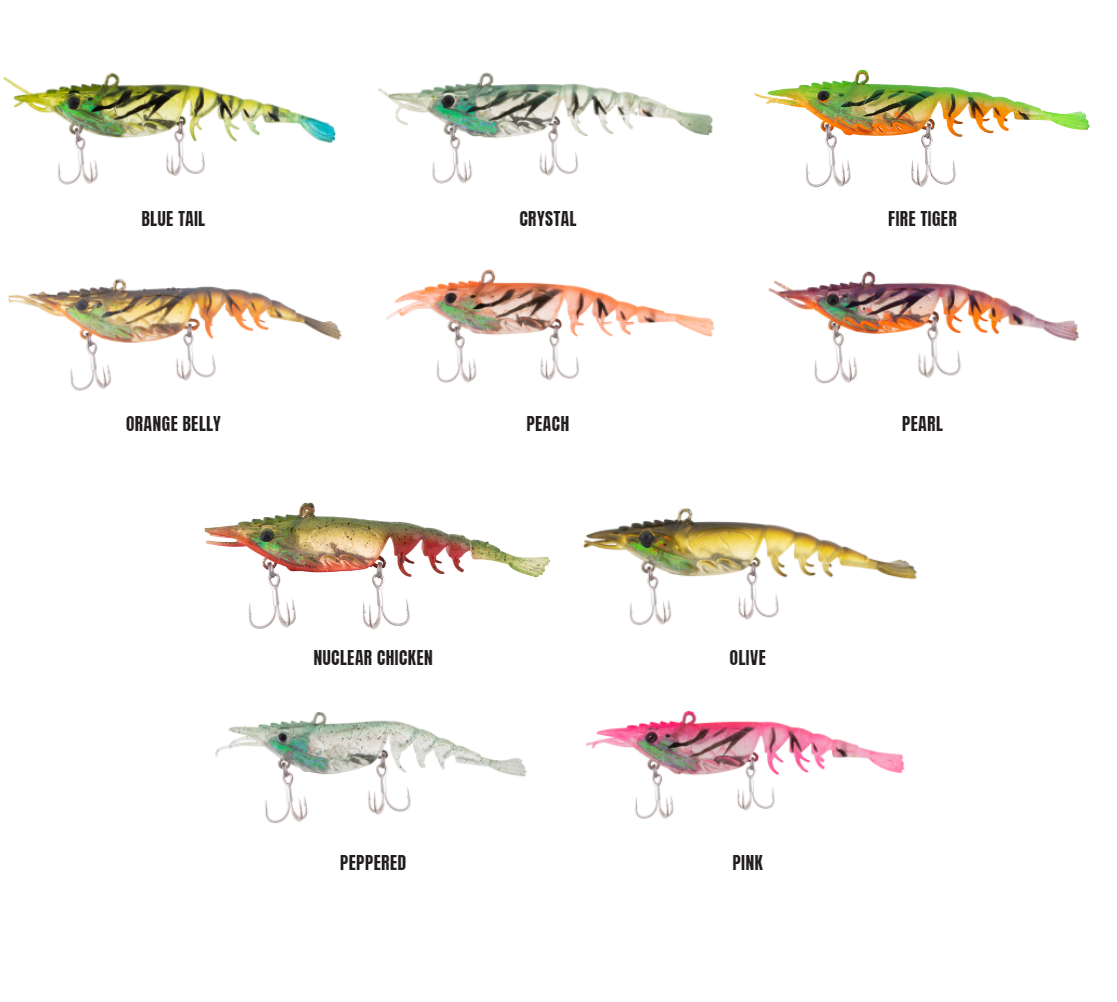 Lures Berkley Shimma Shrimp 65mm Prawn Soft Plastic Vibe Lure 3 Lures Berkley Shimma Shrimp 65mm Prawn Soft Plastic Vibe Lure