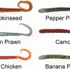 Soft Plastics Berkley Gulp Turtleback Worm 4'' Soft Plastic Fishing Lures -Nomad||Berkley store P697