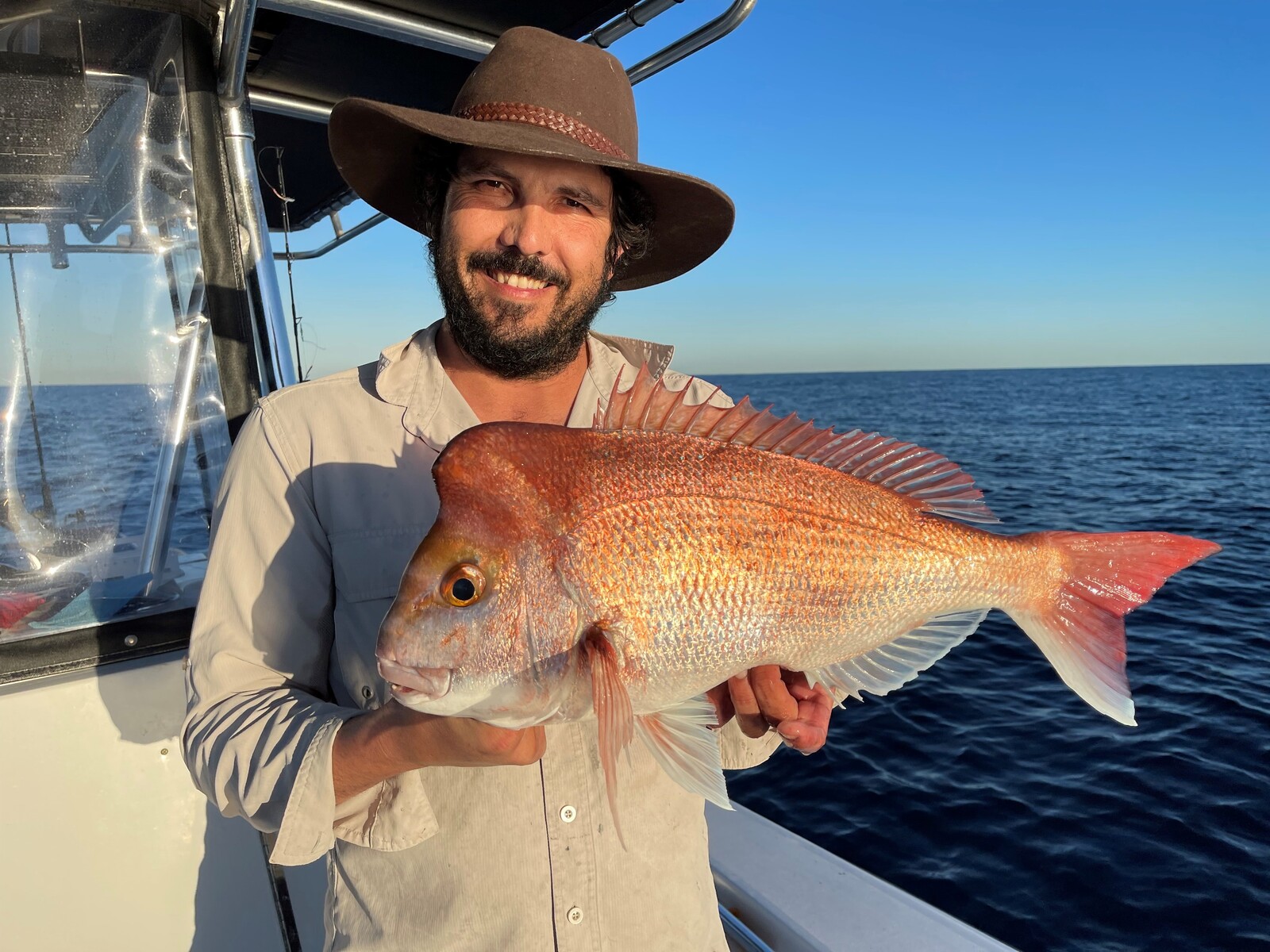 Berkley Snapper Combos Lures For Snapper, Softplastics And Jig Heads 2 Berkley Snapper Combos Lures For Snapper, Softplastics And Jig Heads